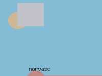 amlodipine norvasc